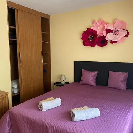 цветно Apartamento *